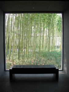Bamboo through a window in the Suzhou Chinese Garden's Museum - photographed  by Noa & Amir. 