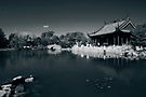 " Dark Pavilion," an image by RedBubble artist Bao Nguyen - enlarge this experience, through LINKAGE below.