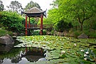" Fagan Park Chinese Garden," by artist George Petrovsky - open LINKAGE for larger view.