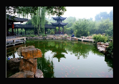 Tranquil China garden scene.