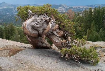 A wonderful photograph by " Penjingyashe.com " showing how diminutive landscapes exist in natural landscape settings.