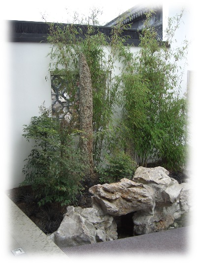 This is actually the scene, behind the previous photo above. A small garden created in the Tea shop courtyard of the Dunedin Chinese Garden  " Lan Yuan."