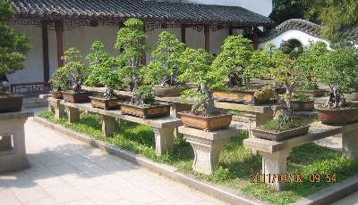 Penjing Garden