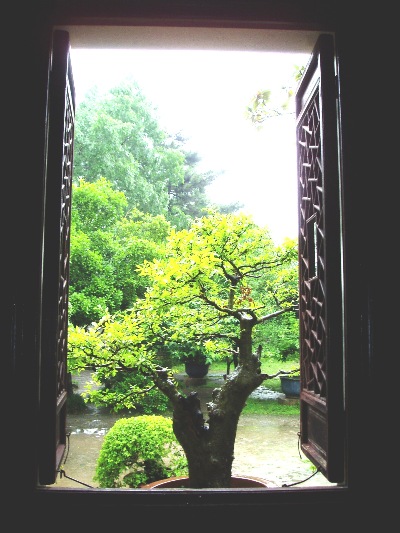 Penjing located and wonderfully positioned, outside a pavilion window.