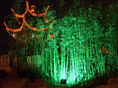 How peaceful, the bamboo looks in Yangzhou, by night lighting.
