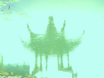 A reflection from the Heart of the Lake Pavilion, in the Dunedin Chinese Garden " Lan Yuan."