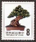 Penjing Lohan Pine