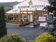 Blueskin Nurseries, Otago, New Zealand