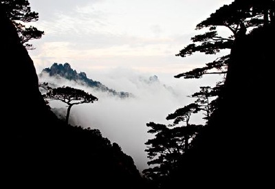 Mountain scene in China, showing the striking silhouette of the pines, that dedicate themselves to the mountain sides.