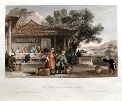 Cultural preparation of Chinese tea.