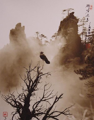 Photographic genius of the late Don Hong-Oai