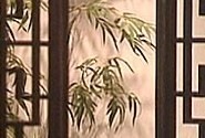 Lattice window, framing bamboo.