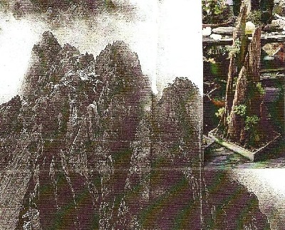 Rocky cliff face mountain - landscape penjing