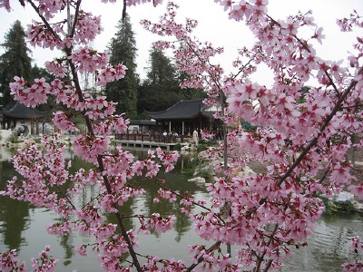 A permitted use photo of the Huntington Chinese Garden, taken by Flickr photographer " BlindAmbitionBlog."