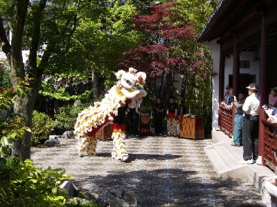 Lion Dance in Dr. Sun Yat-Sen Classical Chinese Garden, Vancouver, BC