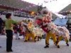Lion Dance performance in Chinese courtyard