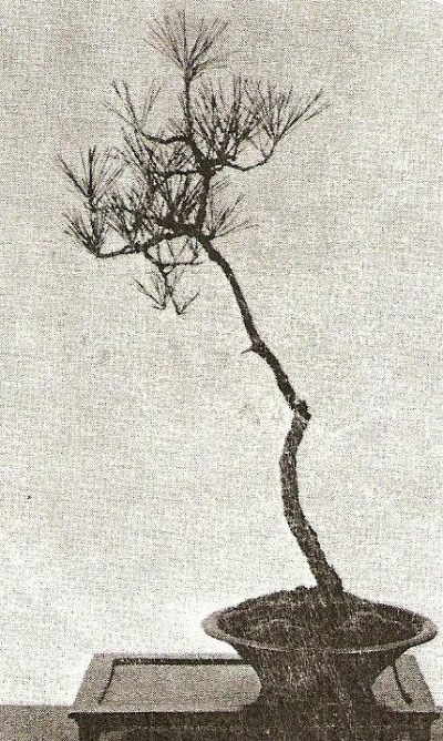 Literati style penjing by unknown artist