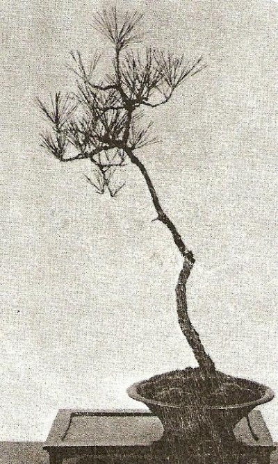 Literati style penjing by unknown artist