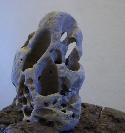 Talk about ' grey-bones ' of scholar's rocks.