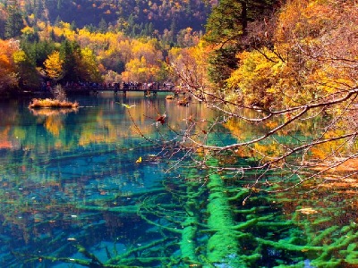 Natures garden colours at Panda Lake, Jiuzhaigou Valley, Sichuan