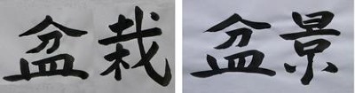 Penjing-Punsai Chinese characters.