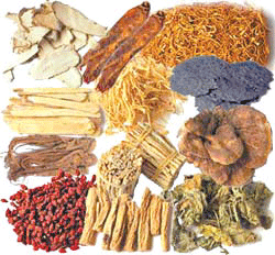 TCM Herbs