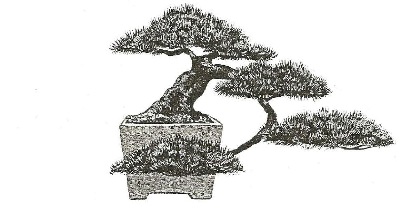 Trade Mark Penjing inspiration