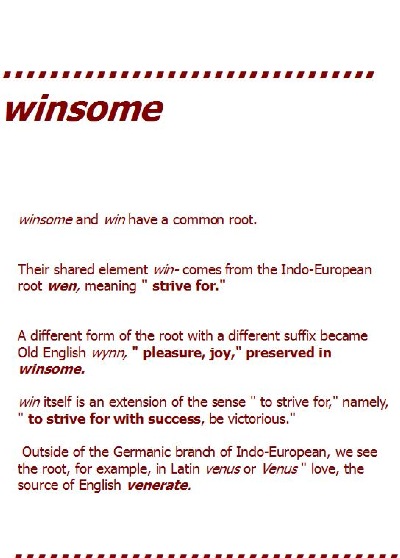 WINSOME - definition