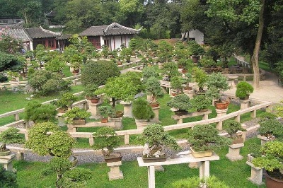 Yunyan (Cloud Rock) Pagoda, Penjing Garden, Suzhou