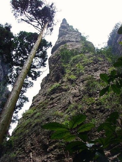 A Bamboo Shoot peak in the Lingfeng Yangdang Mountain.