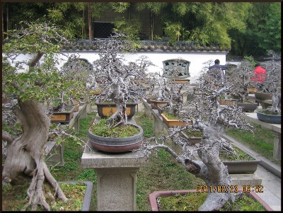 An ' expansive,' portion of the garden vista.