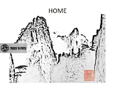 A design image for ChineseGardensDotBiz website.