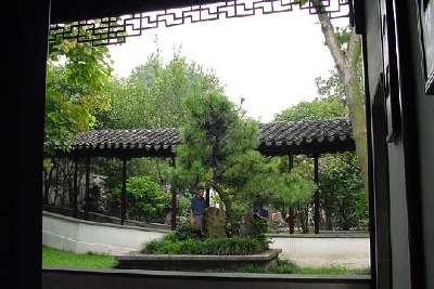 Semi - permanent placement of Tree penjing in China's Lion Grove garden.
