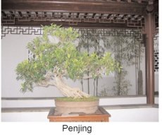 Penjing in a Chinese Garden