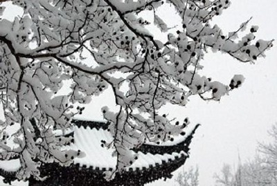 Some of the Elements of a Chinese garden, covered with a soft white fluffy coating of elemental' snow.