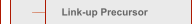 Link-up Precursor